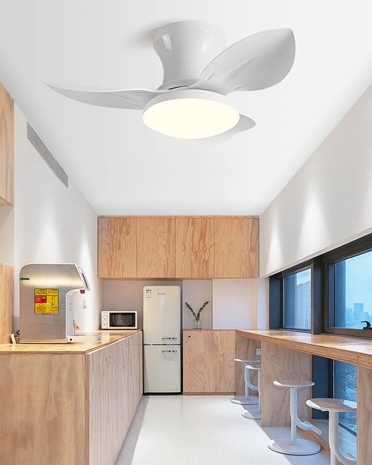Ventilateur Plafonnier Compacto – Image 5