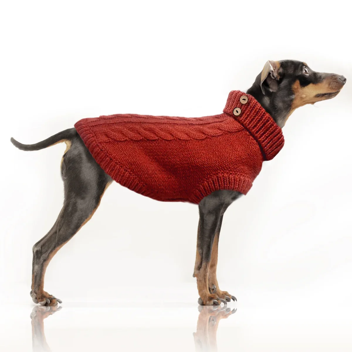 Pull torsade Duncan pour chien - Milk&Pepper – Image 6